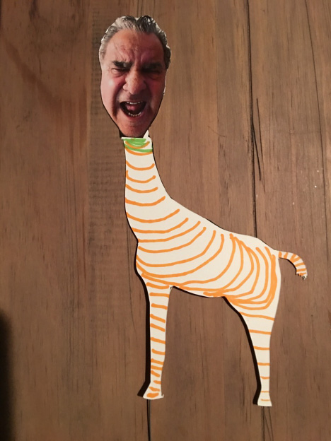 A Get Puppetty participant or group.